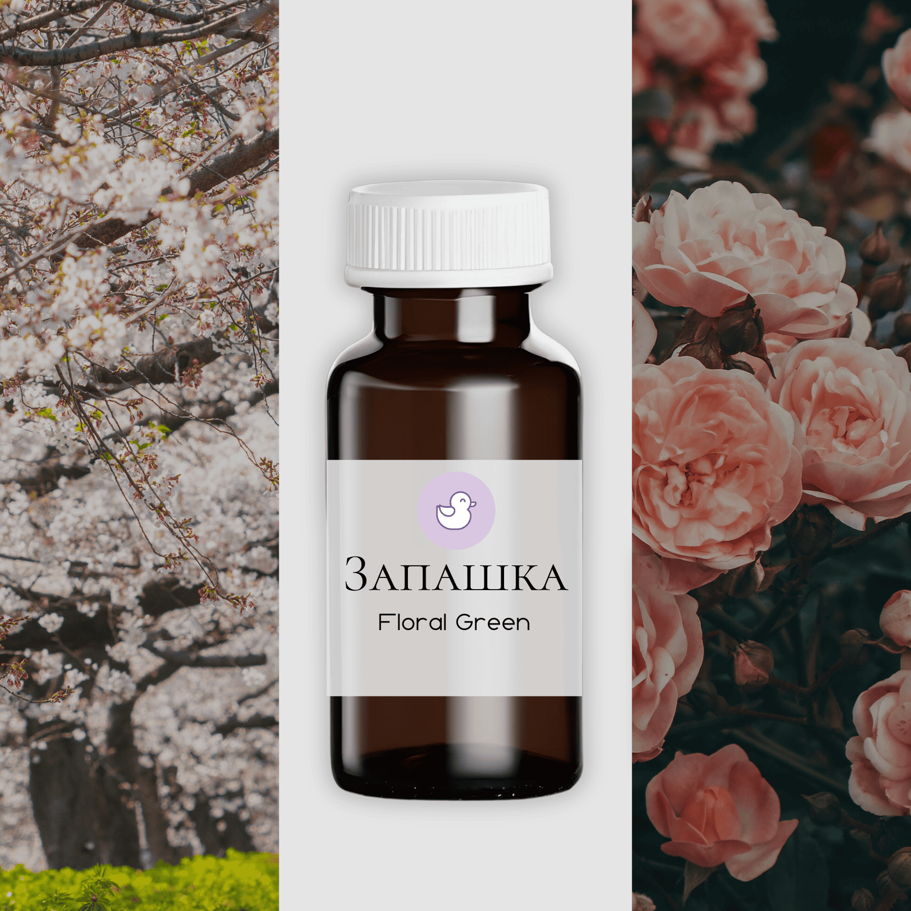 Фото на сайт (10)