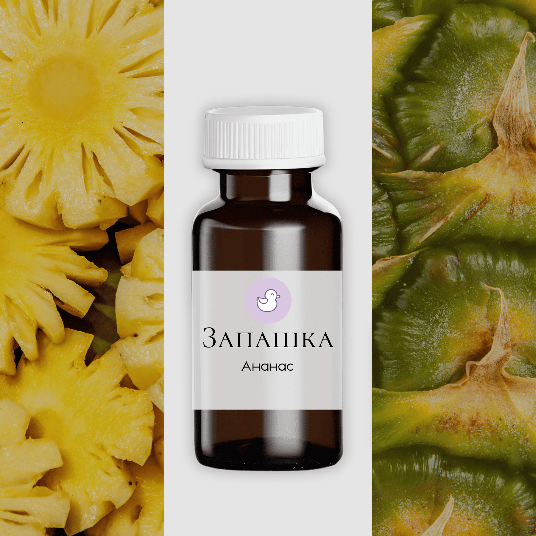 Фото на сайт (37)