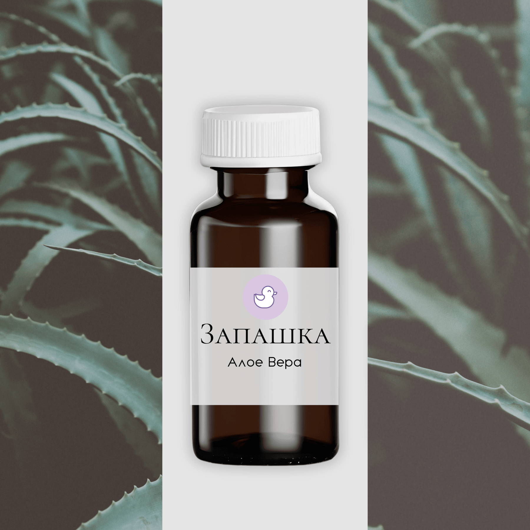 Фото на сайт (16)